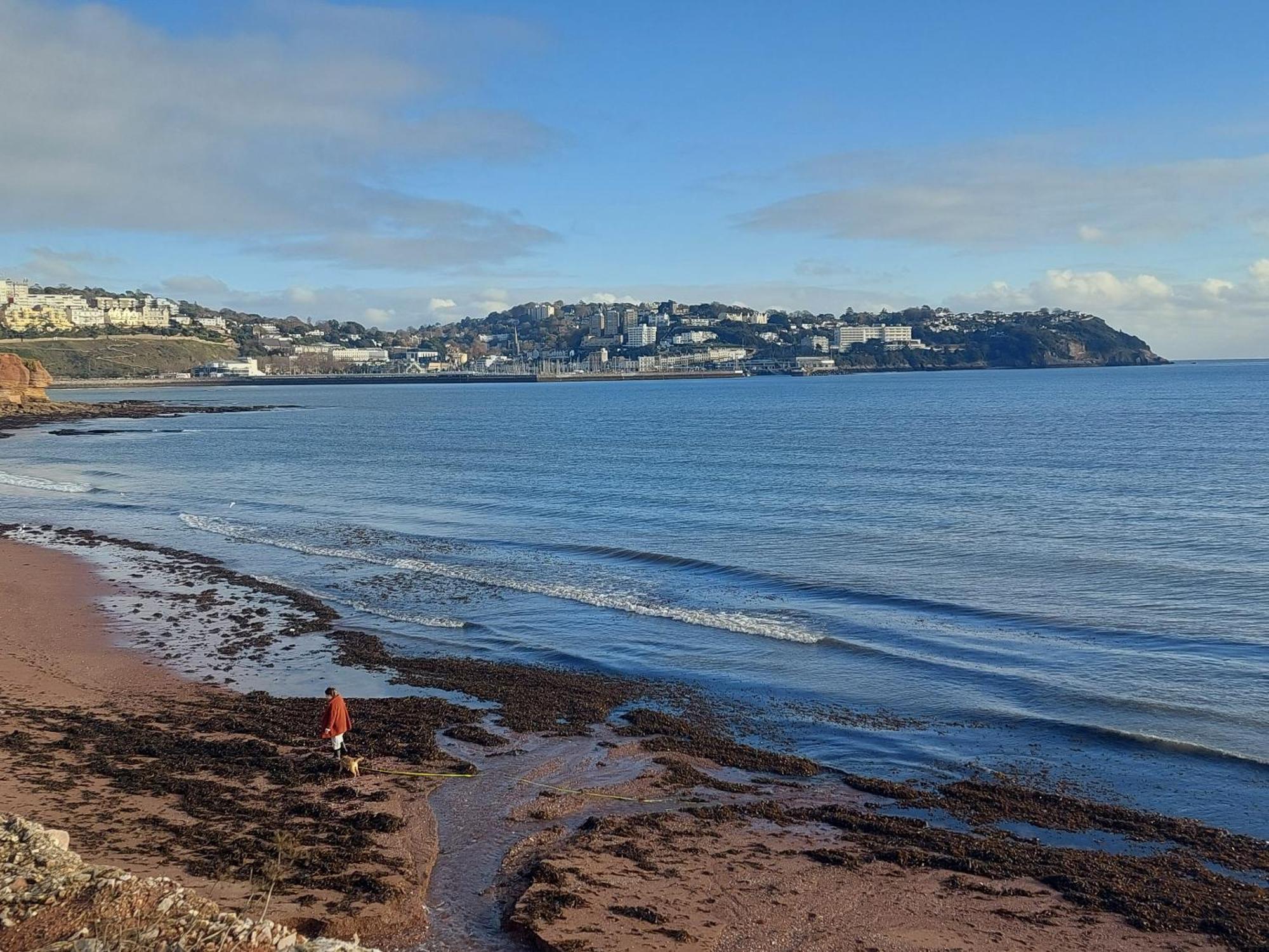 The Seaview Suites At The Corbyn Apartments Torquay Oda fotoğraf